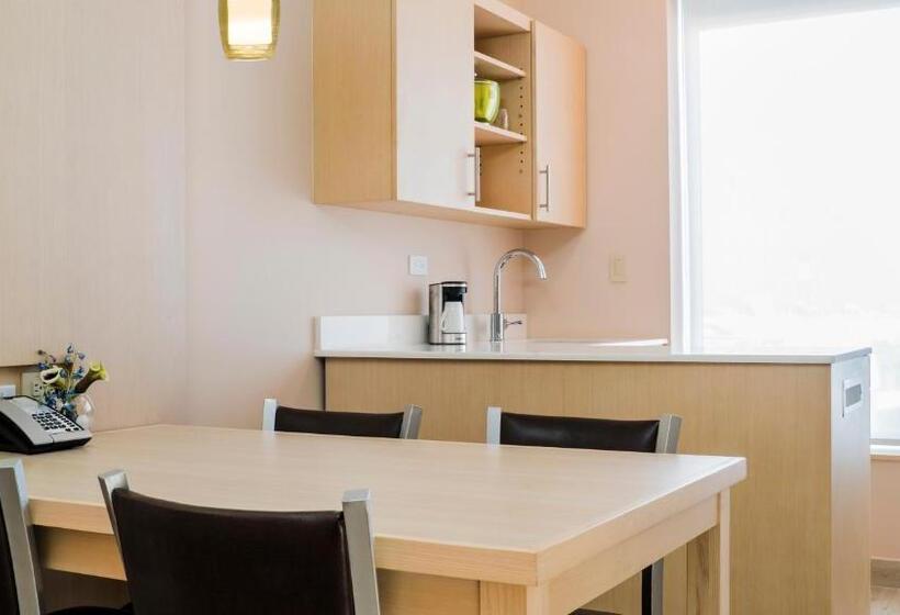 سوئیت با تخت بزرگ, Hyatt Place Managua