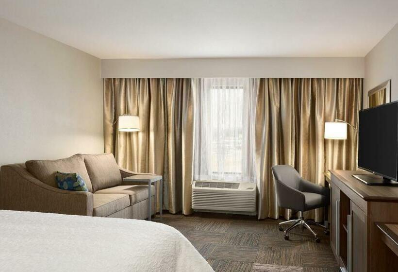 스탠다드 룸 킹사이즈 침대, Hampton Inn & Suites Minooka