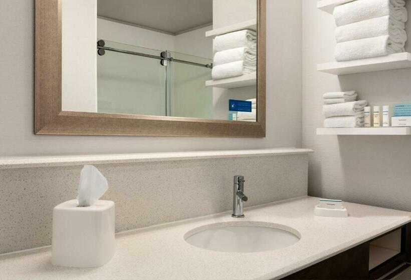 장애인을 위한 스탠다드 룸, Hampton Inn & Suites Minooka