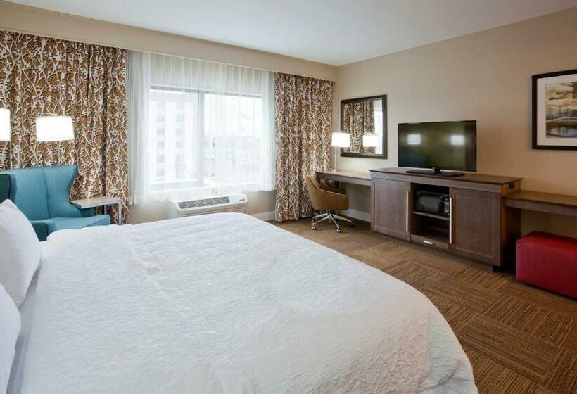 Номер Стандарт Кровать Кинг Адаптированный для Инвалидов, Hampton Inn Minneapolis Bloomington West