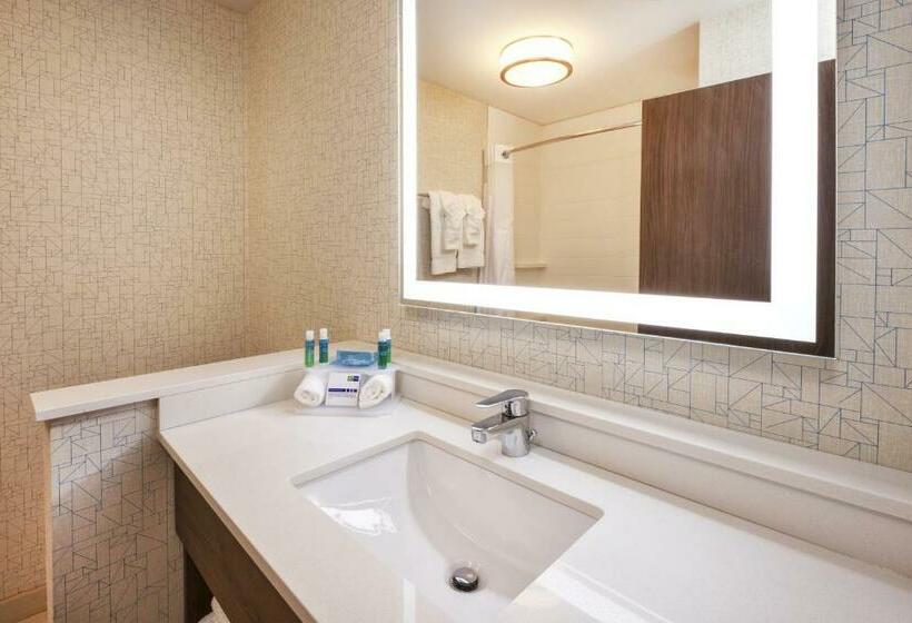 适合残疾人士使用的套间, Holiday Inn Express & Suites New Castle, An Ihg