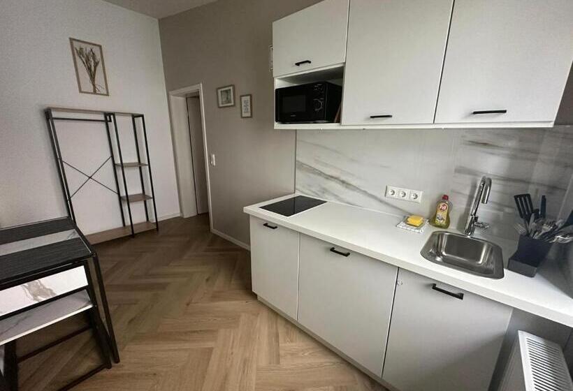 آپارتمان لوکس 1 خوابه, Aparthotel Lenau