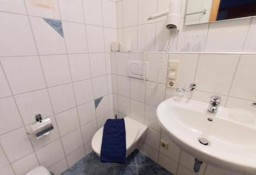 اتاق استاندارد یک نفره, Bodensee Gästehaus Tettnang Albergo