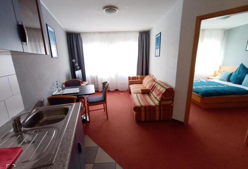 آپارتمان 1 خوابه, Bodensee Gästehaus Tettnang Albergo