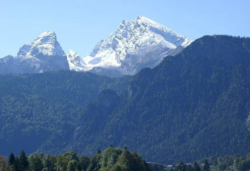 اتاق استاندارد یک نفره, Alpenhotel Lärchenhof