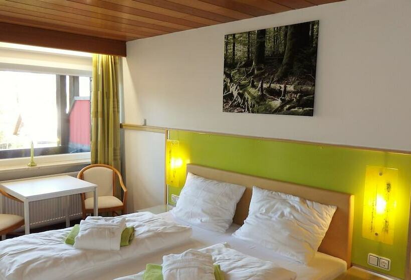 Номер Basic, Landhotel Grünwies  Bonsai Wellness Garni