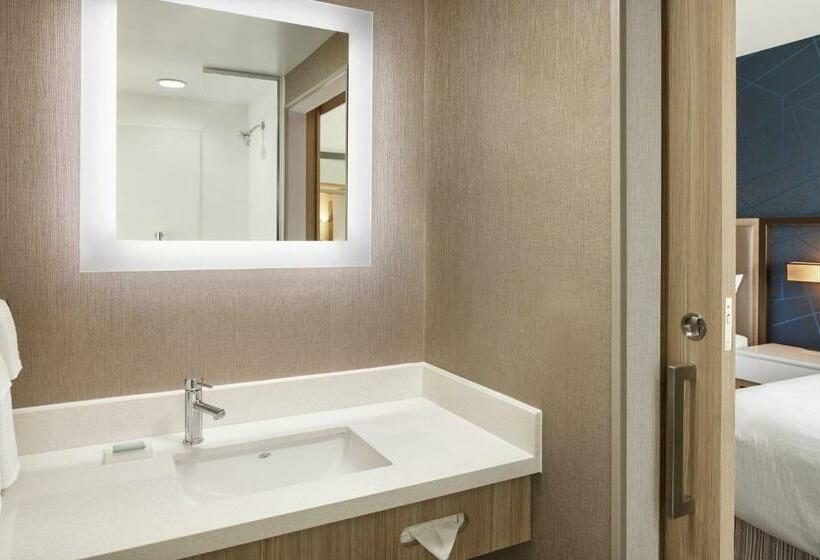 Люкс Кровать Квин, Springhill Suites By Marriott Frederica