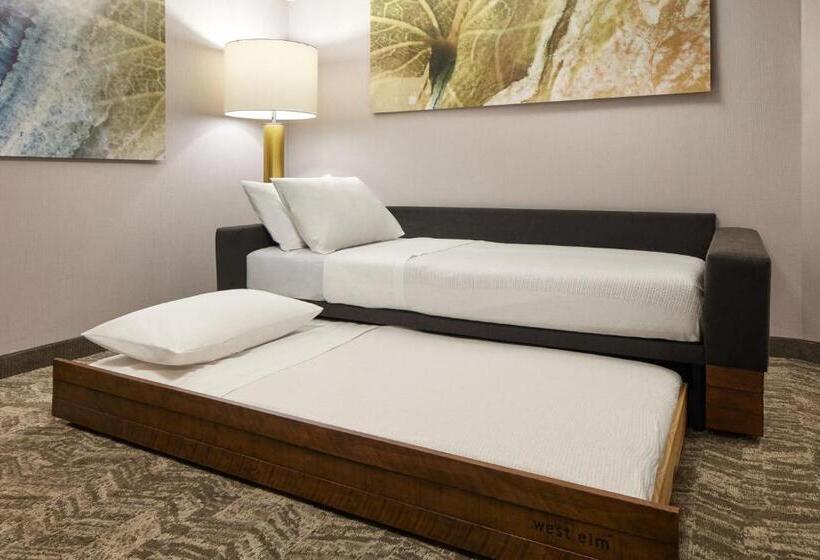 Люкс Кровать Квин, Springhill Suites By Marriott Frederica