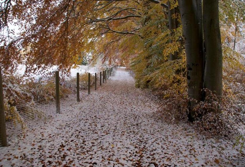 Апартаменты Дюплекс 1 Спальня, Gasthof Jägerheim