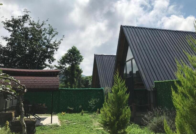 套房, My World Bungalov