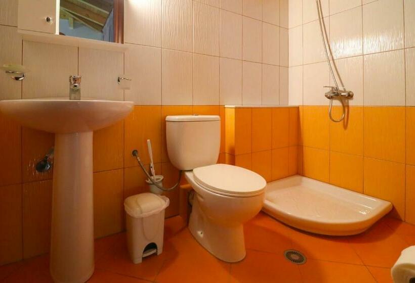 اتاق خانوادگی, Aris Rooms