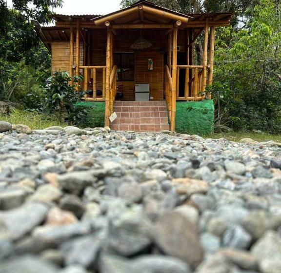 标准间, Ilusión Ecoparque