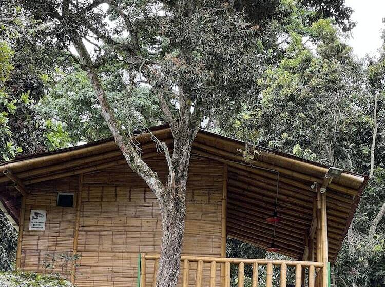 小室, Ilusión Ecoparque