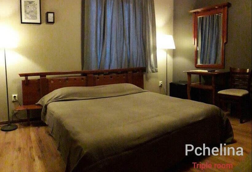 Трехместный Номер Стандарт с Балконом, Family Hotel Pchelina