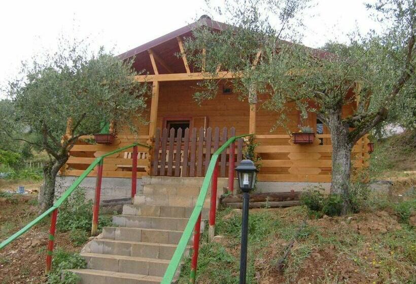 Бунгало Стандарт, Agriturismo Cisogna