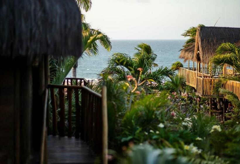 Deluxe Bungalow, Hurricane Jeri