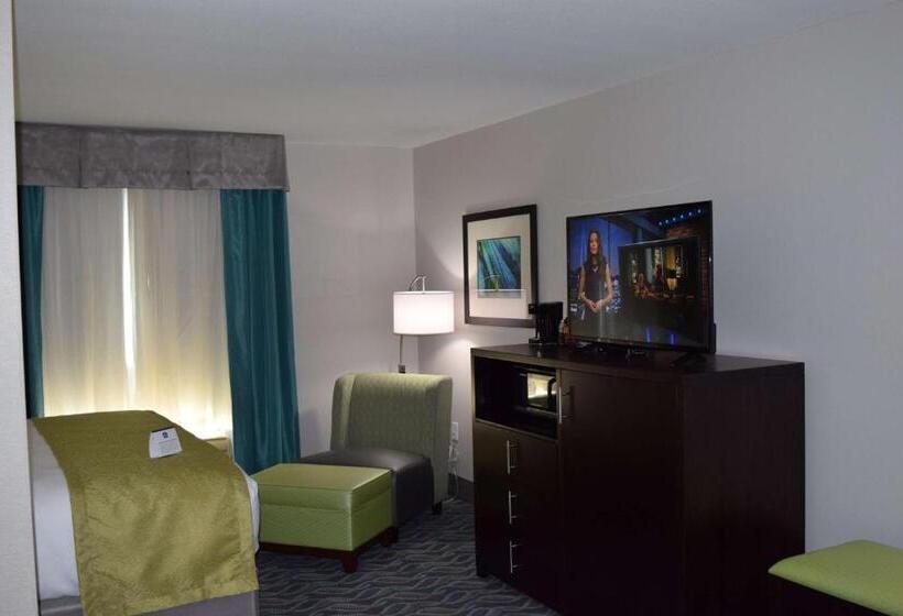 带大床的标准间, Best Western Plus Hardeeville Inn & Suites