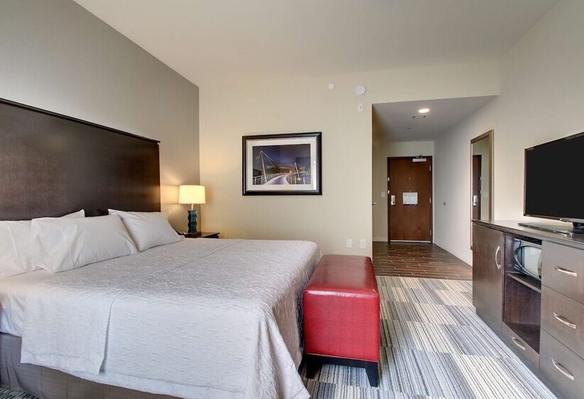 Номер Стандарт Кровать Кинг Адаптированный для Инвалидов, Hampton Inn & Suites Greenville Airport, Sc