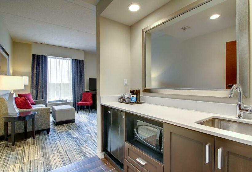 Люкс Deluxe Кровать Кинг, Hampton Inn & Suites Greenville Airport, Sc