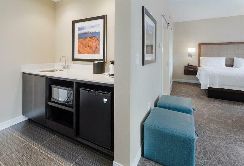 디럭스 스위트 킹 침대, Hampton Inn & Suites Page  Lake Powell