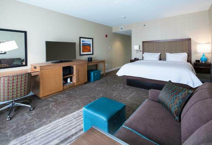장애인을 위한 킹사이즈 침대 스탠다드 룸, Hampton Inn & Suites Page  Lake Powell