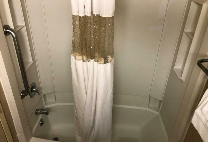 스탠다드 룸 킹사이즈 침대, Rodeway Inn Joint Base Andrews Area