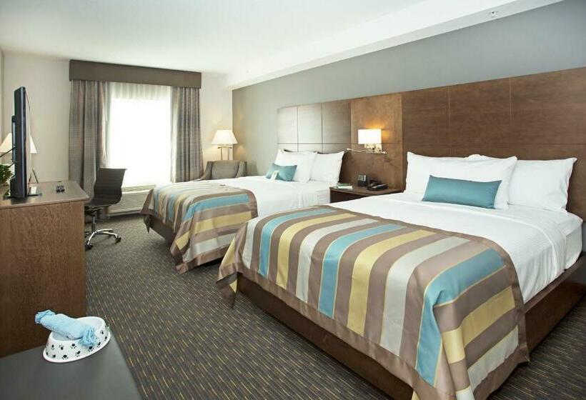 スタンダードルーム, Wingate By Wyndham Calgary Airport