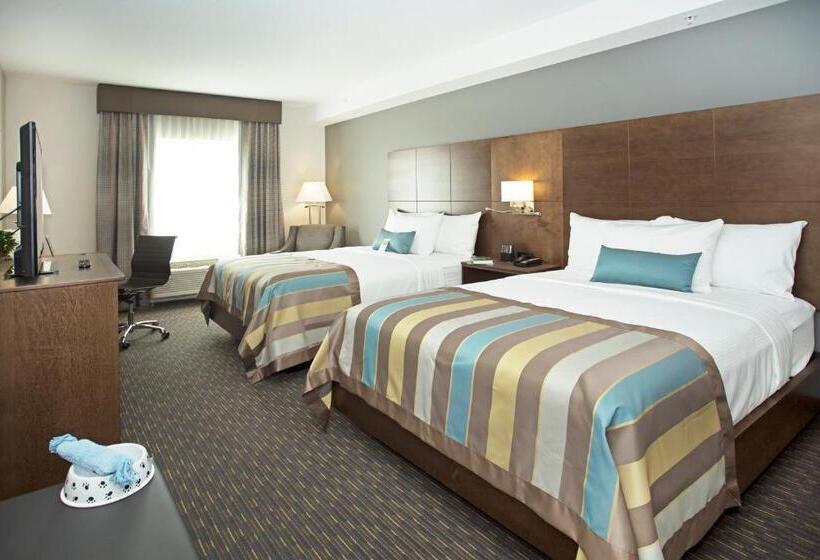 障害者適応デラックスルーム, Wingate By Wyndham Calgary Airport