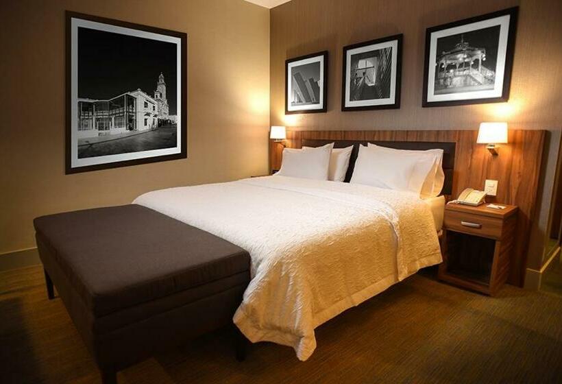 스탠다드 룸 킹사이즈 침대, Hampton Inn By Hilton Piedras Negras