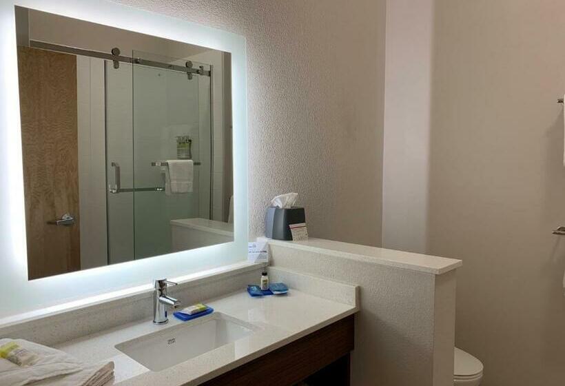 Номер Superior Кровать Кинг, Holiday Inn Express & Suites Danville, An Ihg