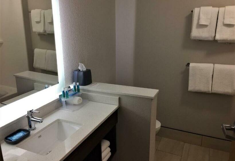 Quarto Superior Cama King, Holiday Inn Express & Suites Danville, An Ihg