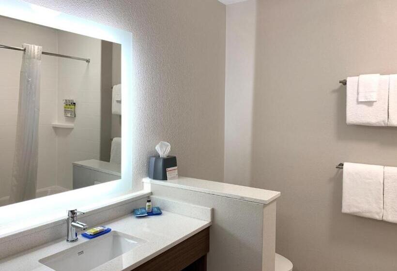 Номер Стандарт Адаптированный для Инвалидов, Holiday Inn Express & Suites Danville, An Ihg