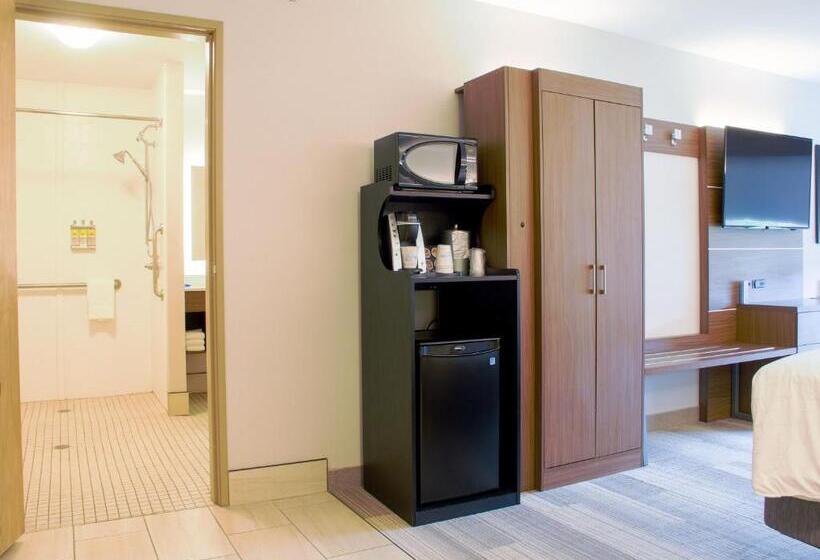 Quarto Estandar para Deficientes Físicos, Holiday Inn Express & Suites Danville, An Ihg