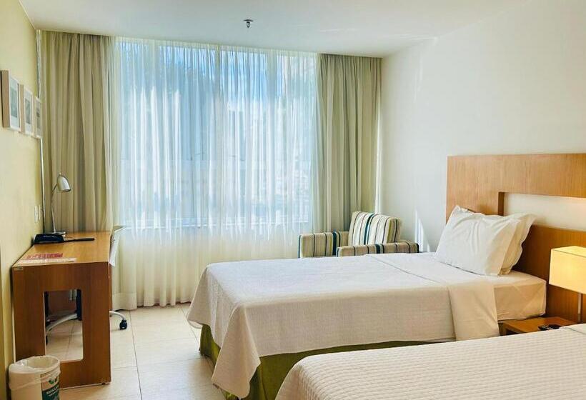 Quarto Estandar Individual, Naoum