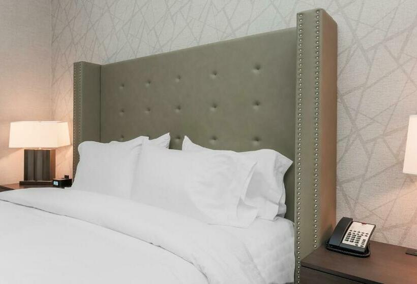 Quarto Standard Cama King para Deficientes, Doubletree By Hilton Evansville