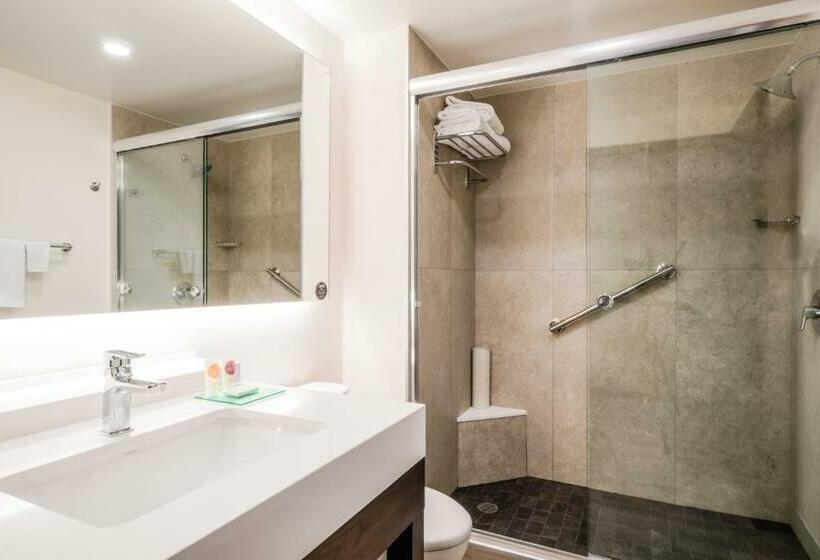 带大床的标准间, Hyatt Place Celaya