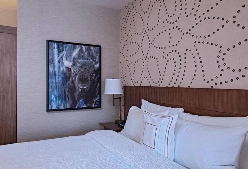 Люкс, Fairfield Inn & Suites By Marriott Cheyenne Southwest/downtown Area