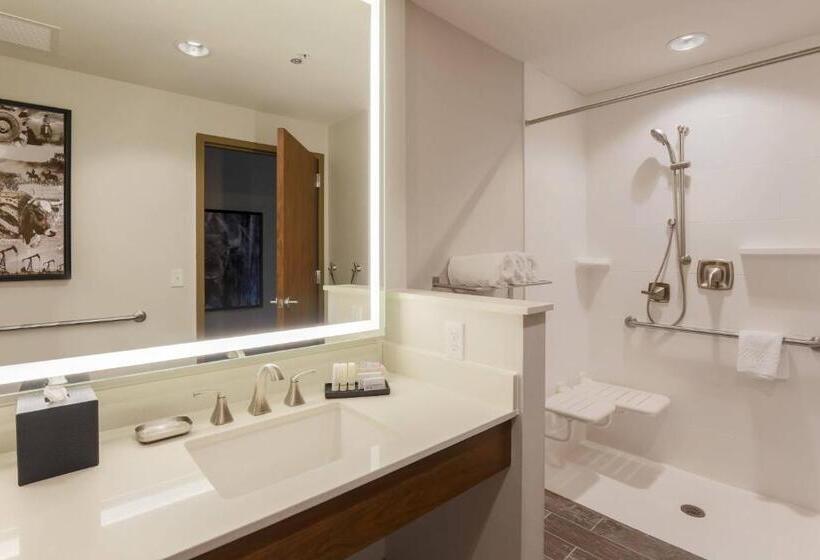 Номер Стандарт, Fairfield Inn & Suites By Marriott Cheyenne Southwest/downtown Area