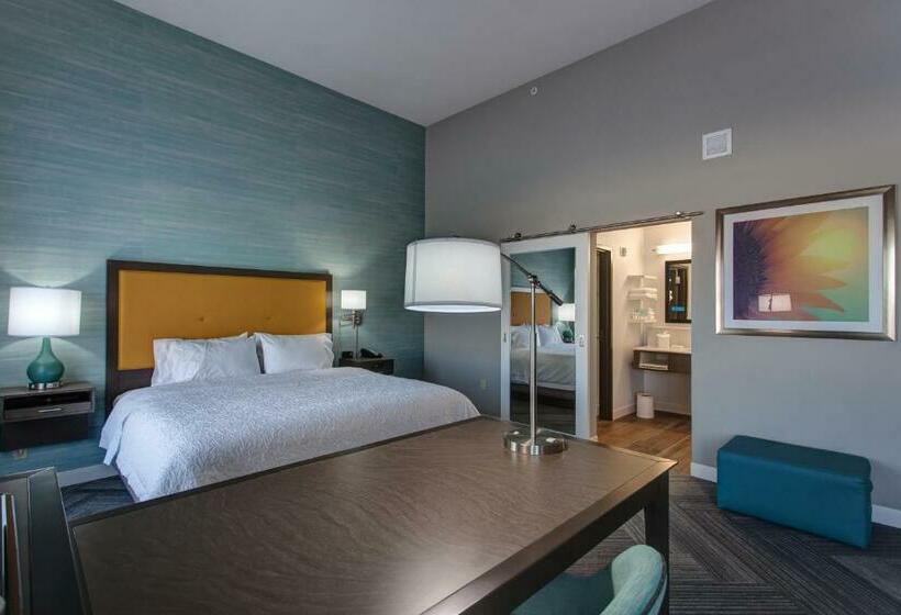 Люкс Кровать Кинг, Hampton Inn & Suites Wichita/airport