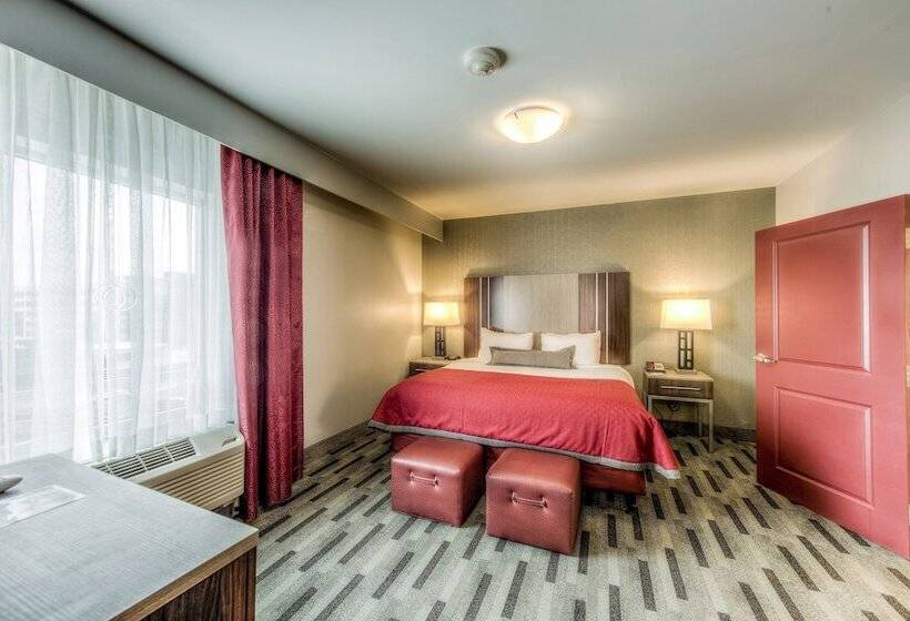 Студия Стандарт Двуспальная Кровать, Staybridge Suites   University Area Osu, An Ihg