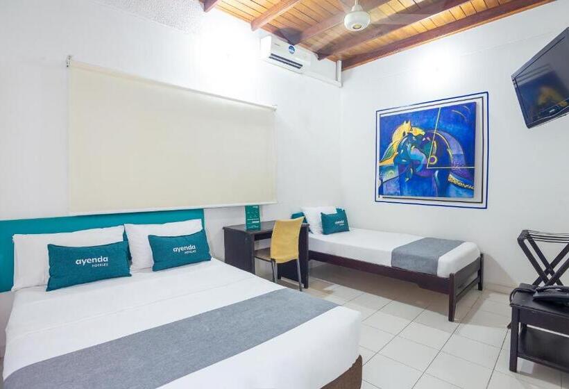 标准间, Ayenda Casa Real