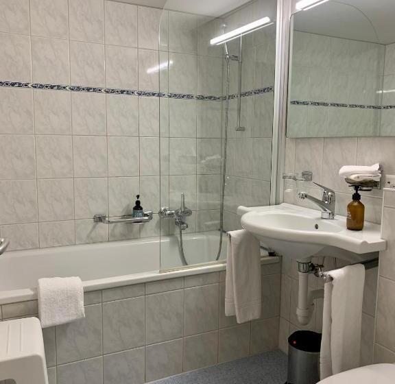 اتاق اکونومی, Friedheim