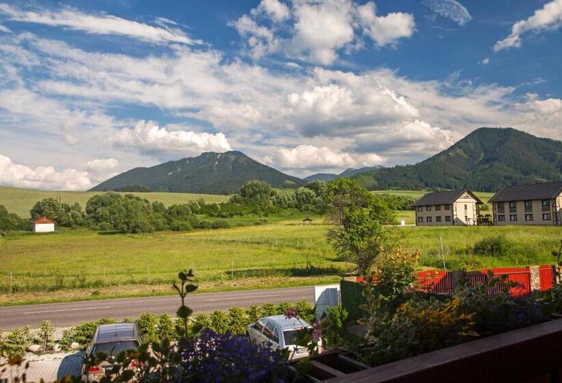 Номер Стандарт, Penzion Drak