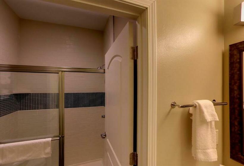 Студия Стандарт, Staybridge Suites Ann Arbor   Research Parkway, An Ihg