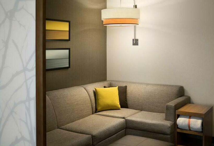 Номер Стандарт, Hyatt Place Biloxi