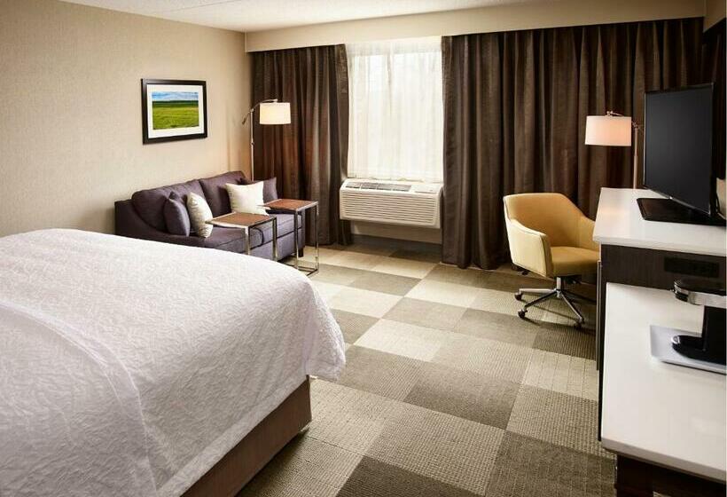 带大床的标准间, Hampton Inn By Hilton Sarnia/point Edward