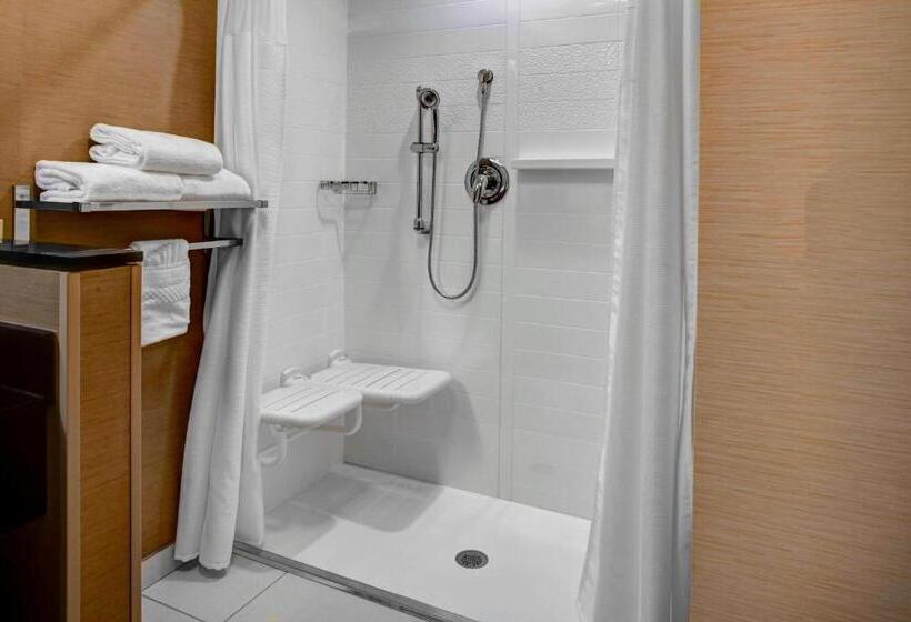스탠다드 룸 킹사이즈 침대, Fairfield Inn & Suites By Marriott Douglas