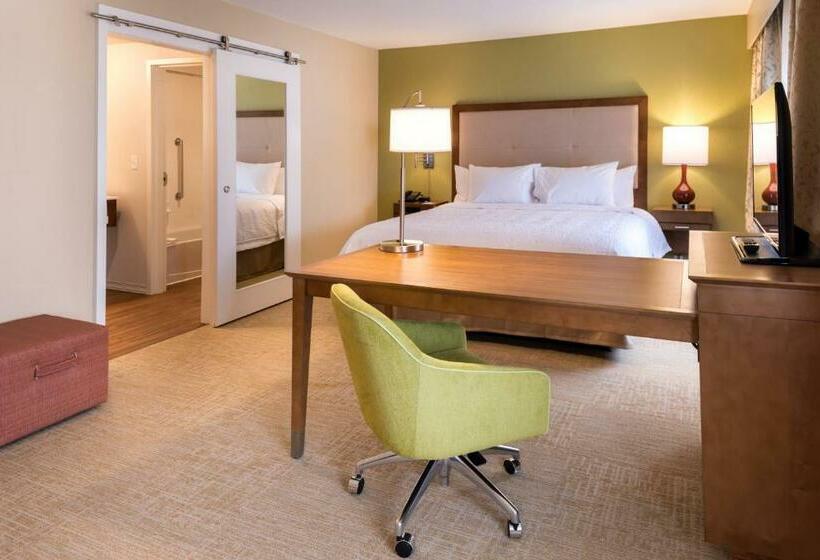 استودیو استاندارد با تخت کینگ, Hampton Inn & Suites Silverthorne