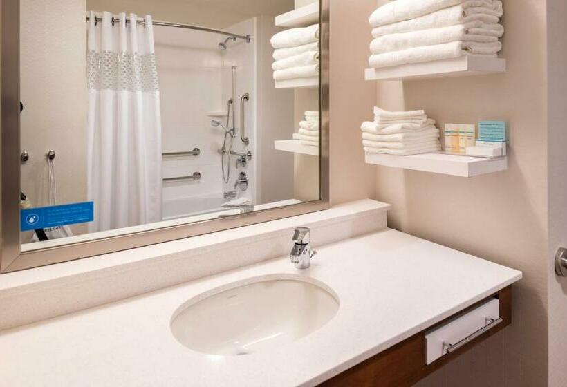استودیو استاندارد با تخت کینگ, Hampton Inn & Suites Silverthorne