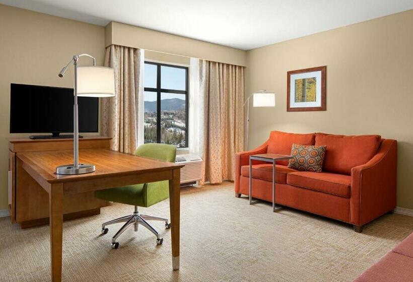 استودیو استاندارد با تخت کینگ, Hampton Inn & Suites Silverthorne